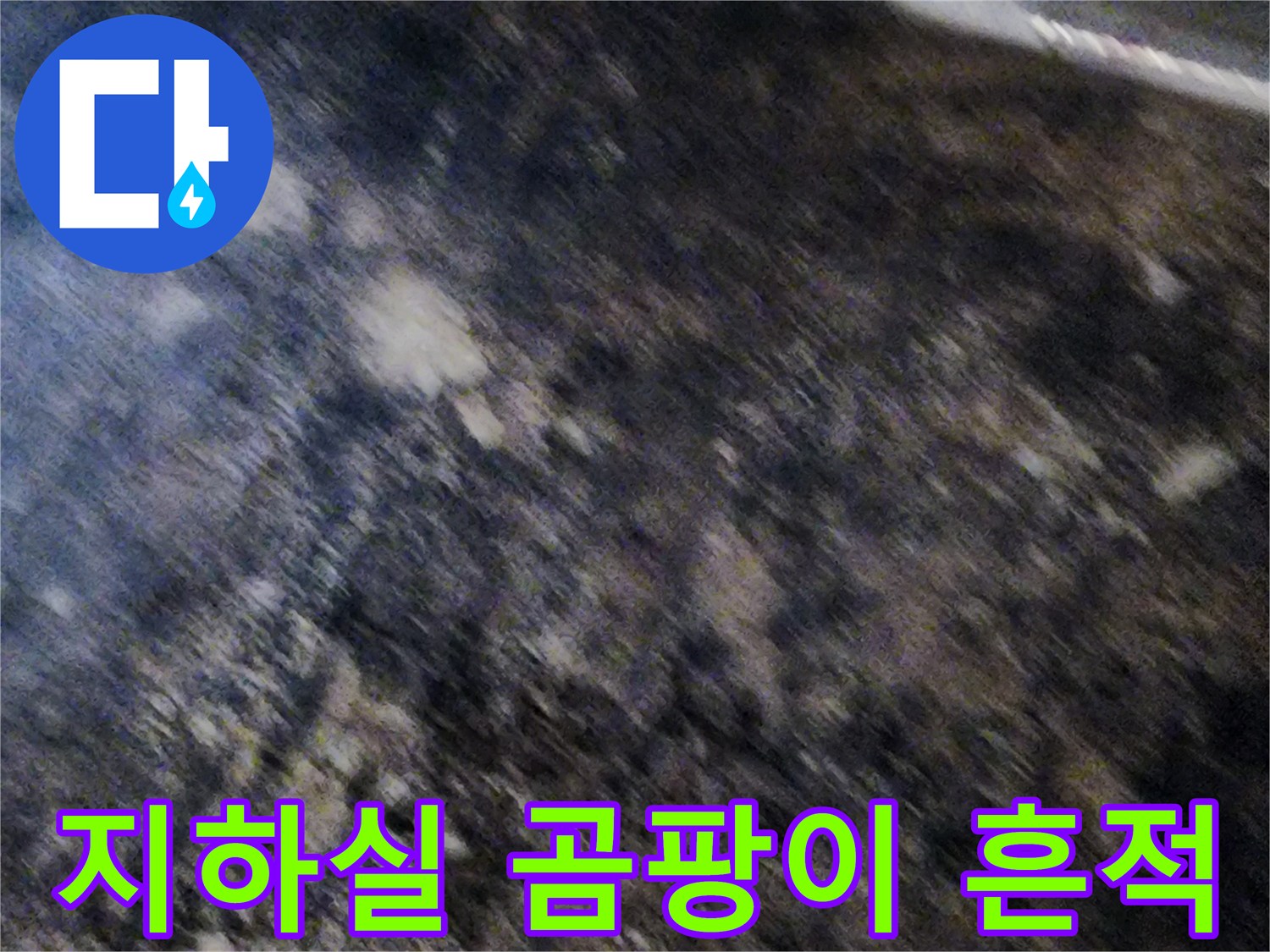 서초구 염곡동 지하실 벽면의 곰팡이와 습기 상태