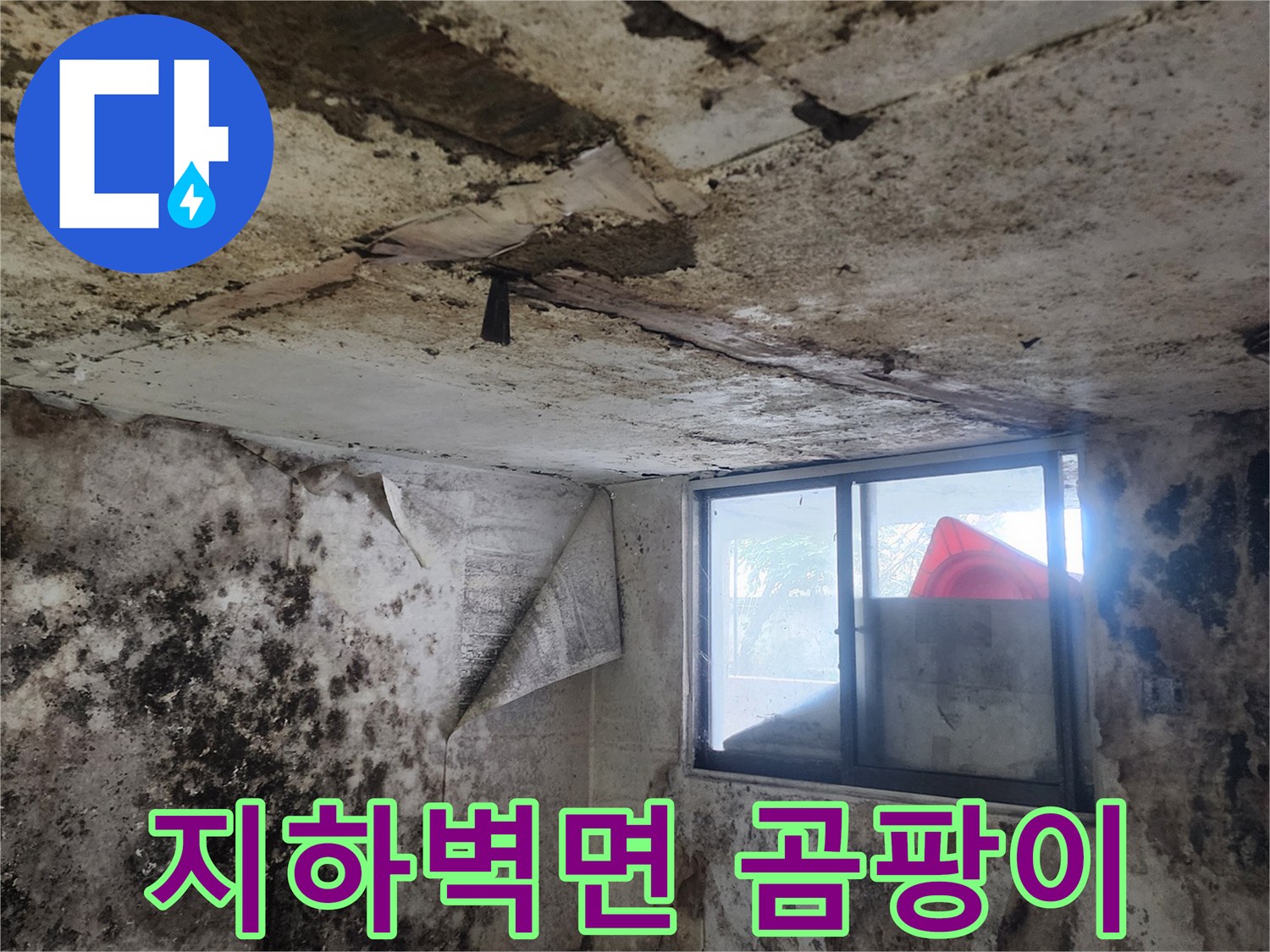 습기가 가득한 지하실의 곰팡이 핀 벽면 모습