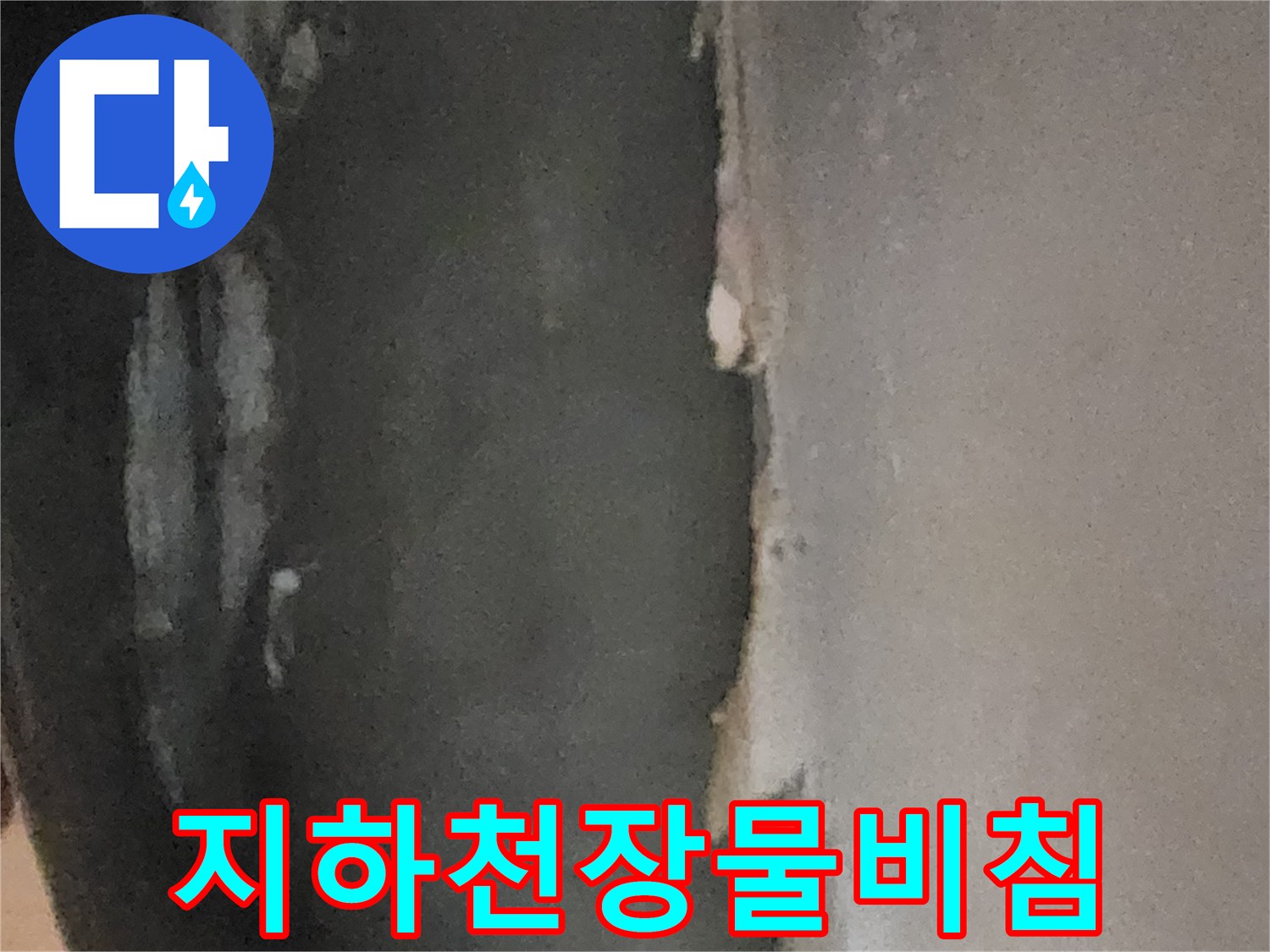 습기로 인해 젖어 있는 지하실 천장의 마감재 상태