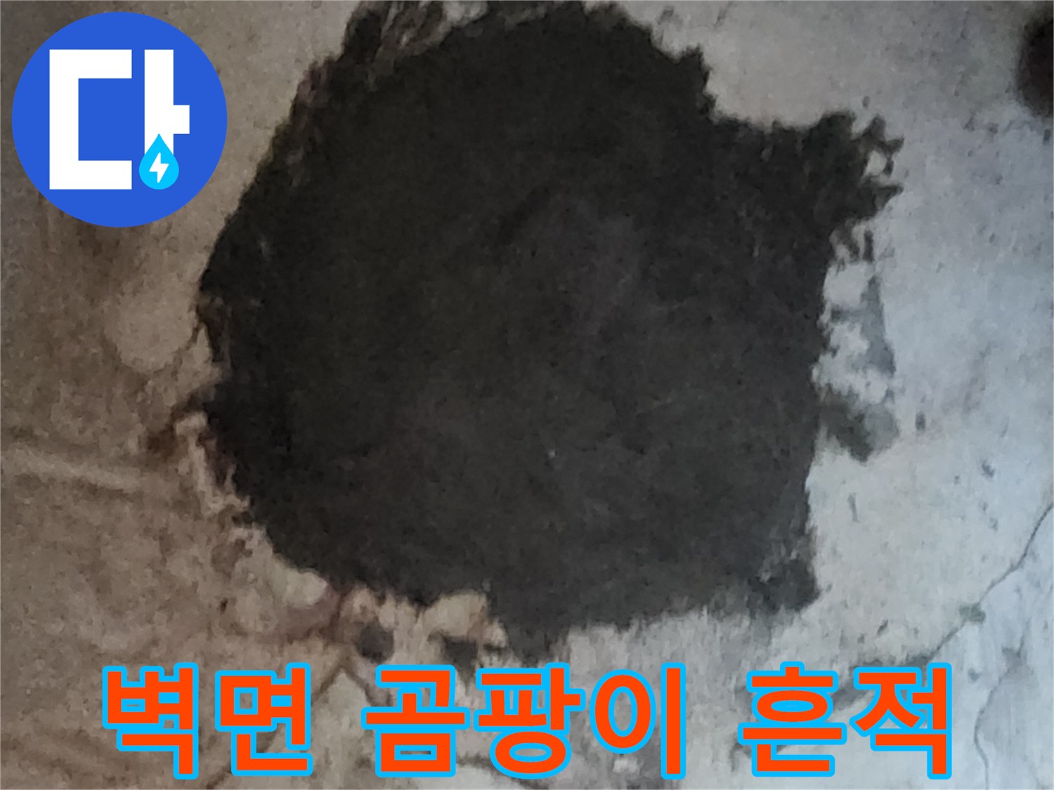 습기와 곰팡이가 가득한 지하 벽면-누수 피해 상황