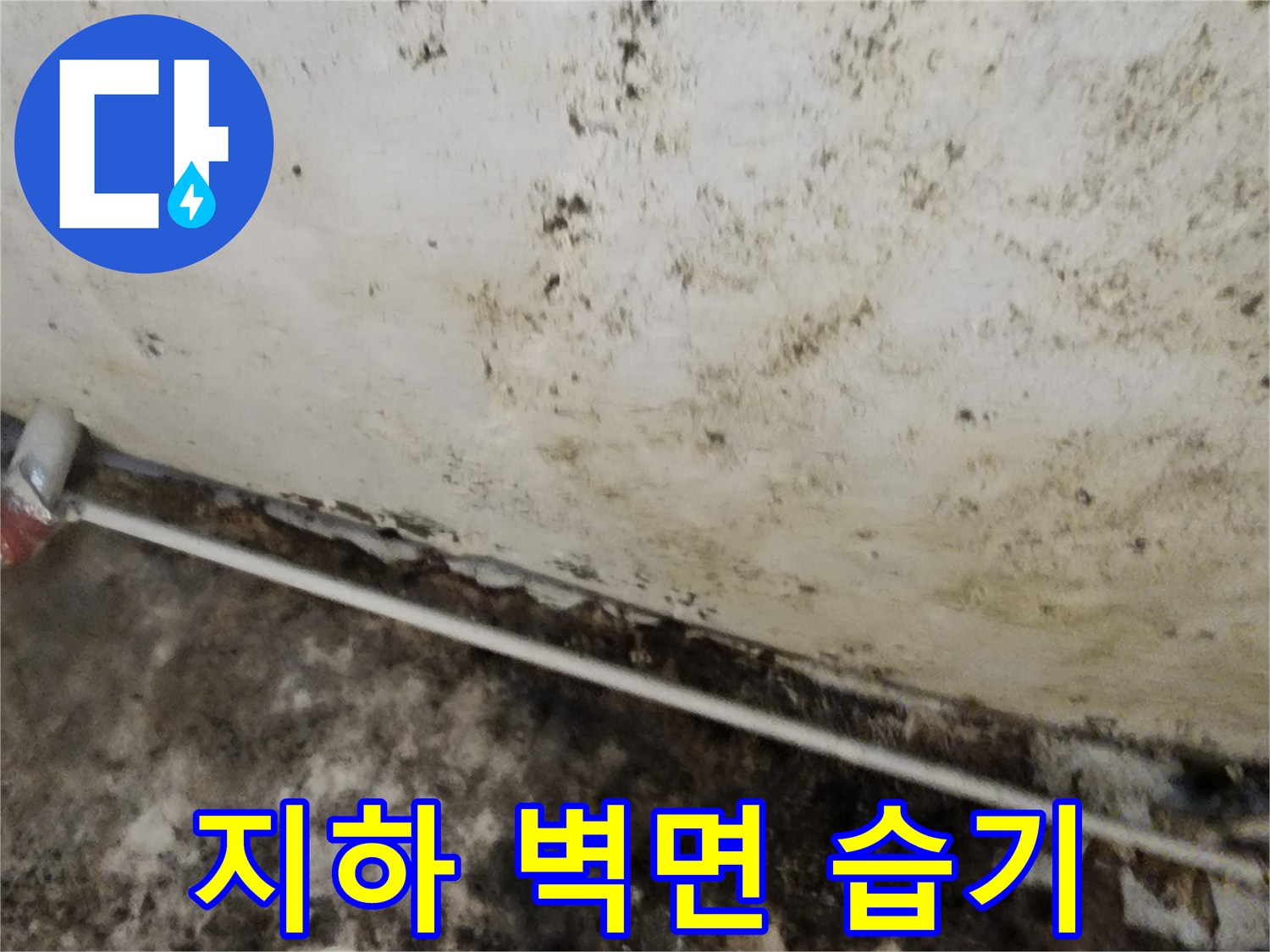 축축한 습기와 함께 곰팡이가 피어있는 지하 벽면 사진
