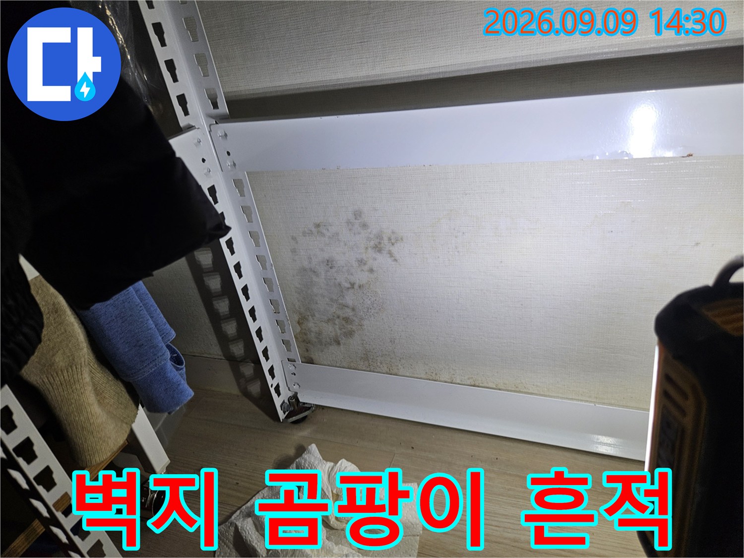 송파구 석촌동 아파트 거실 벽면에 나타난 곰팡이와 습기 얼룩 사진