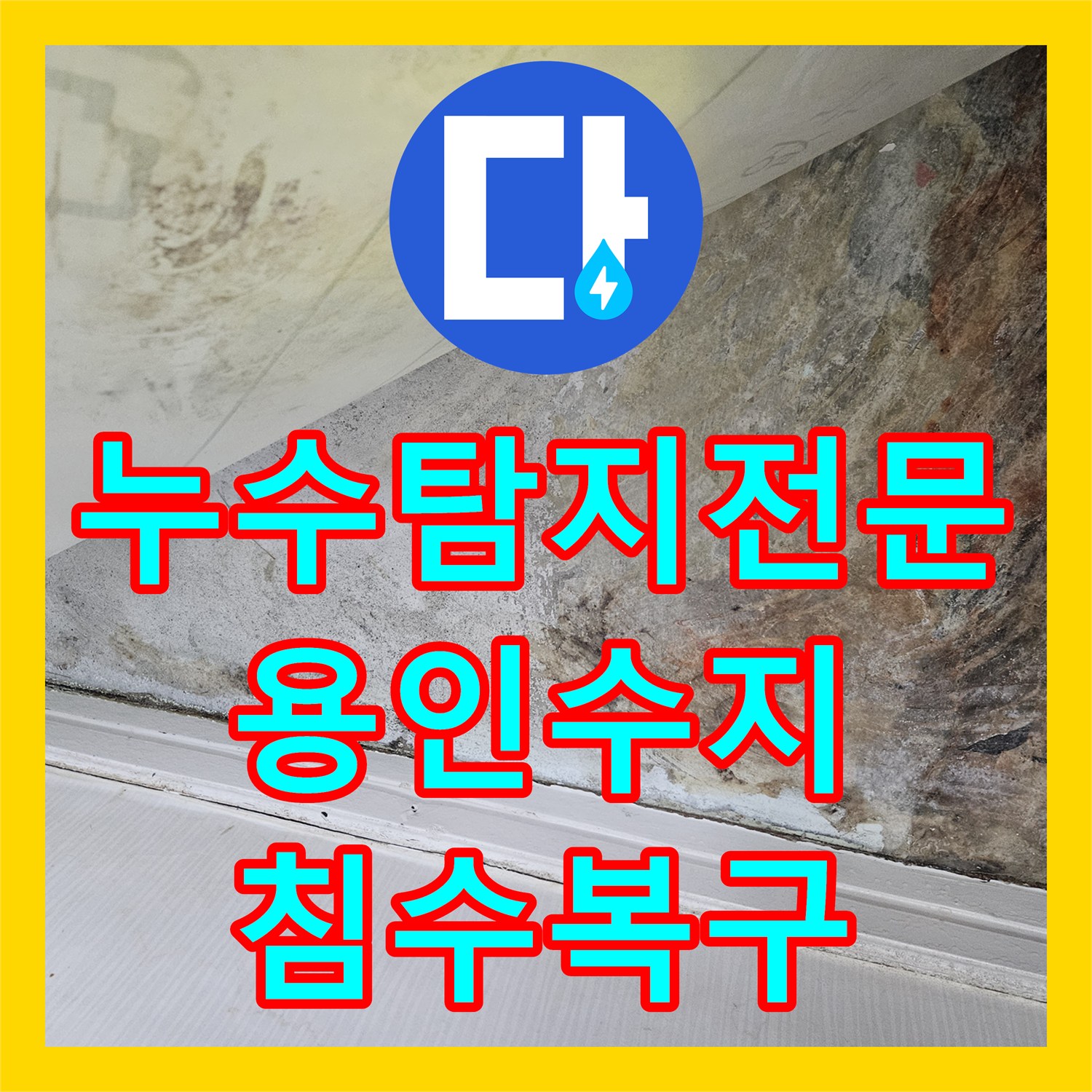 누수탐지전문 윗집 계량기 누수로 인한 아랫집 광범위 침수 피해 분석 용인시 수지구 죽전동