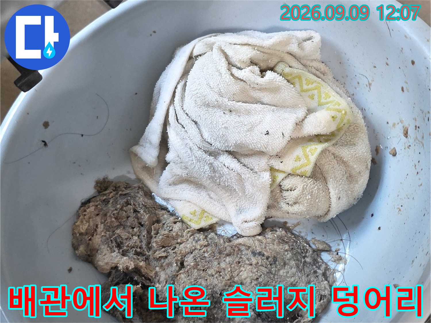 남양주 덕소리 현장-배관 내부에서 추출된 머리카락과 오염물질 덩어리입니다.