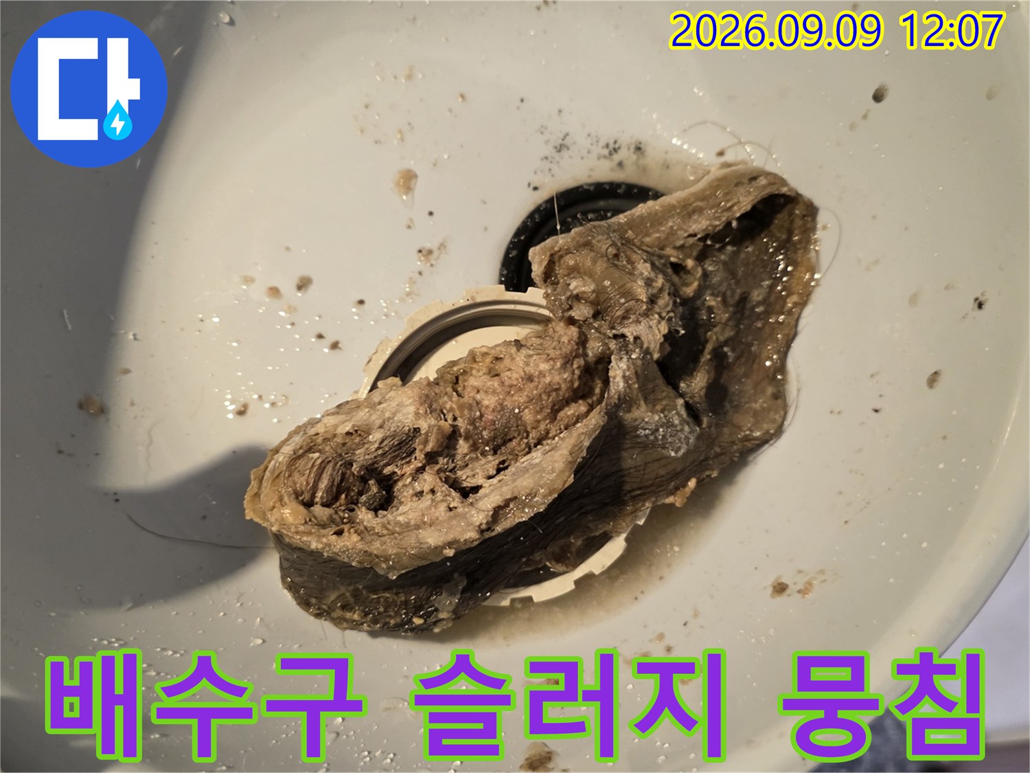배수구 입구를 가로막은 거대한 오염 물질