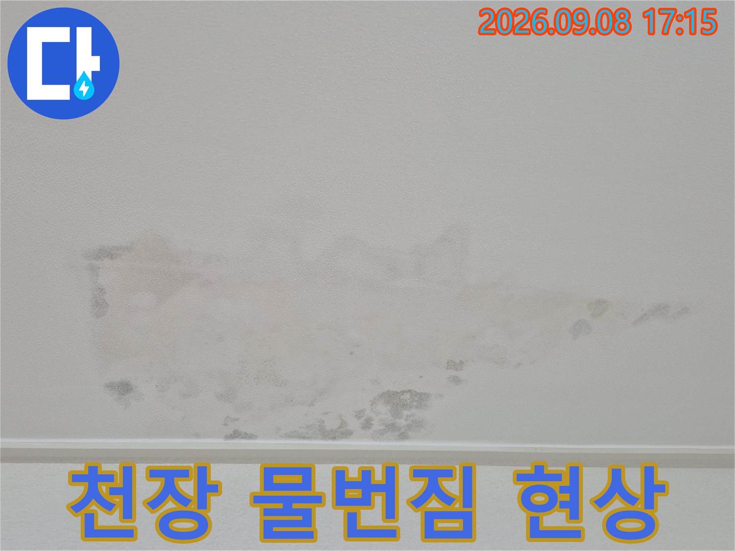 영통구 천장-물에 젖어 변색된 벽지 얼룩 부위