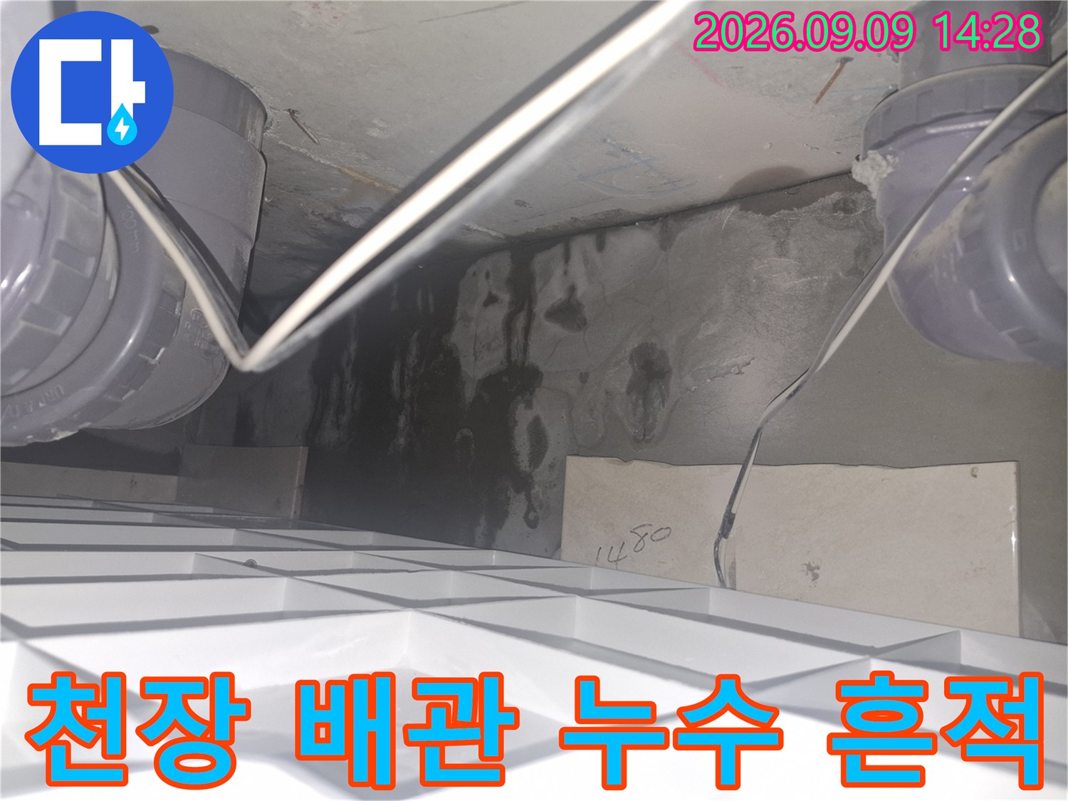 배관 주변의 어두운 물자국과 천장 벽면의 곰팡이 오염 상태