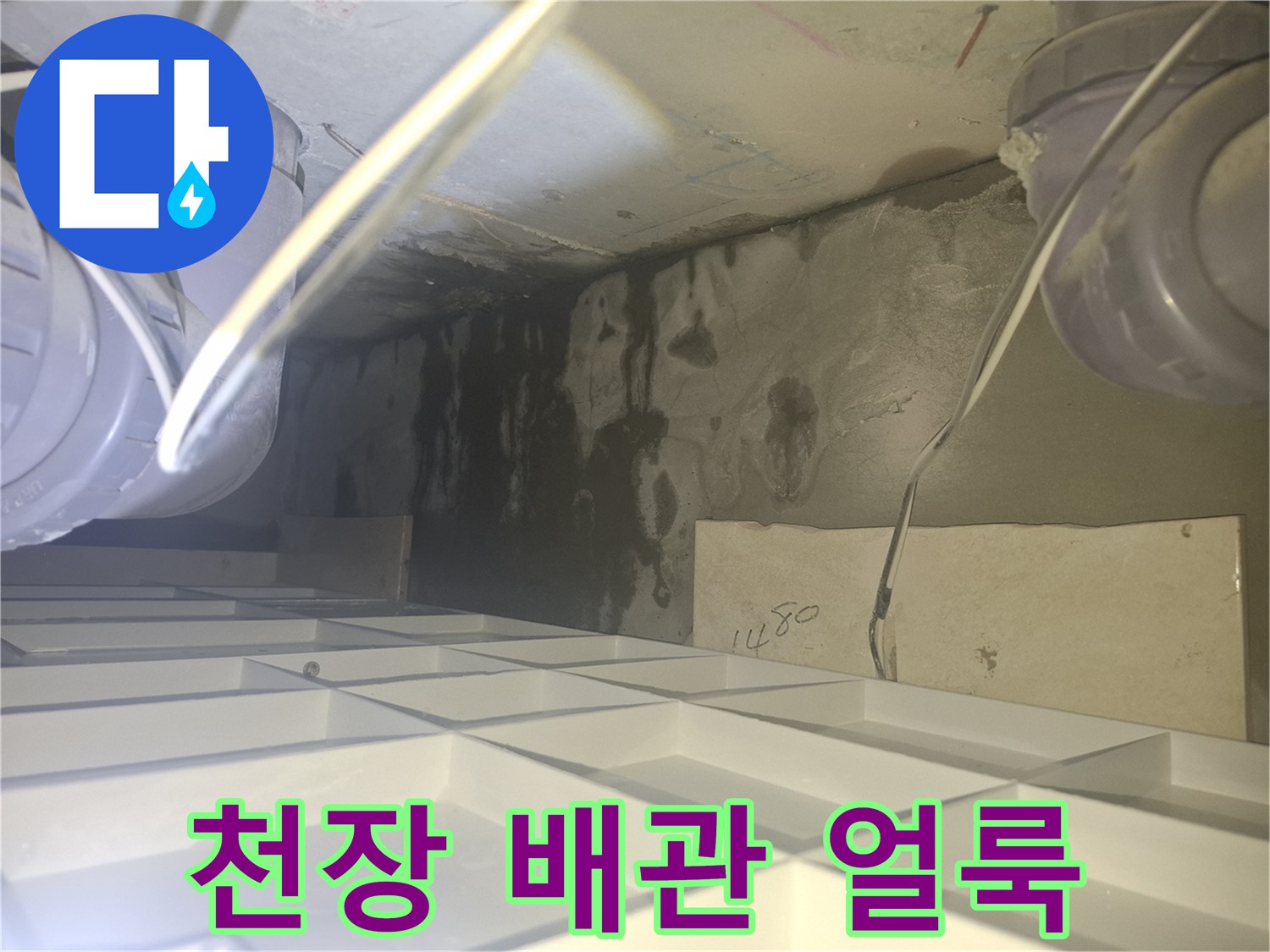양주 삼숭동 아파트 천장 내부의 검은 물자국과 습기 상태