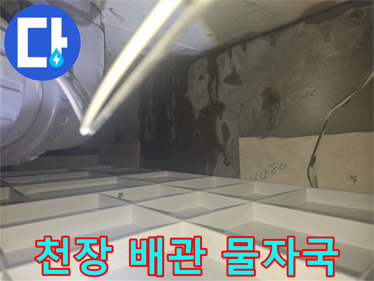 양주 삼숭동 현장의 천장 콘크리트 벽면 누수 흔적