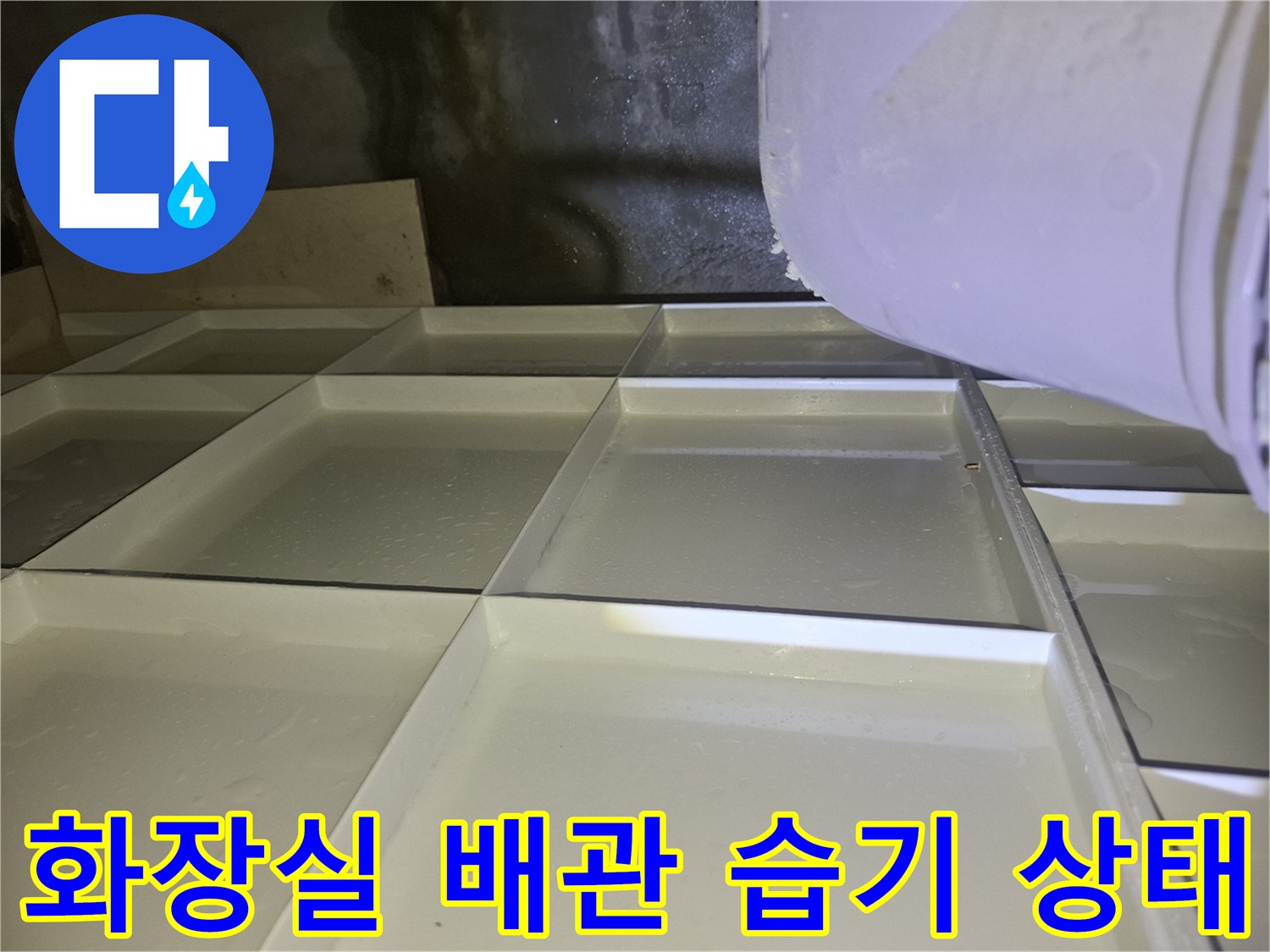 양주 삼숭동 화장실-천장 내부 배관 주변의 습기와 물 자국