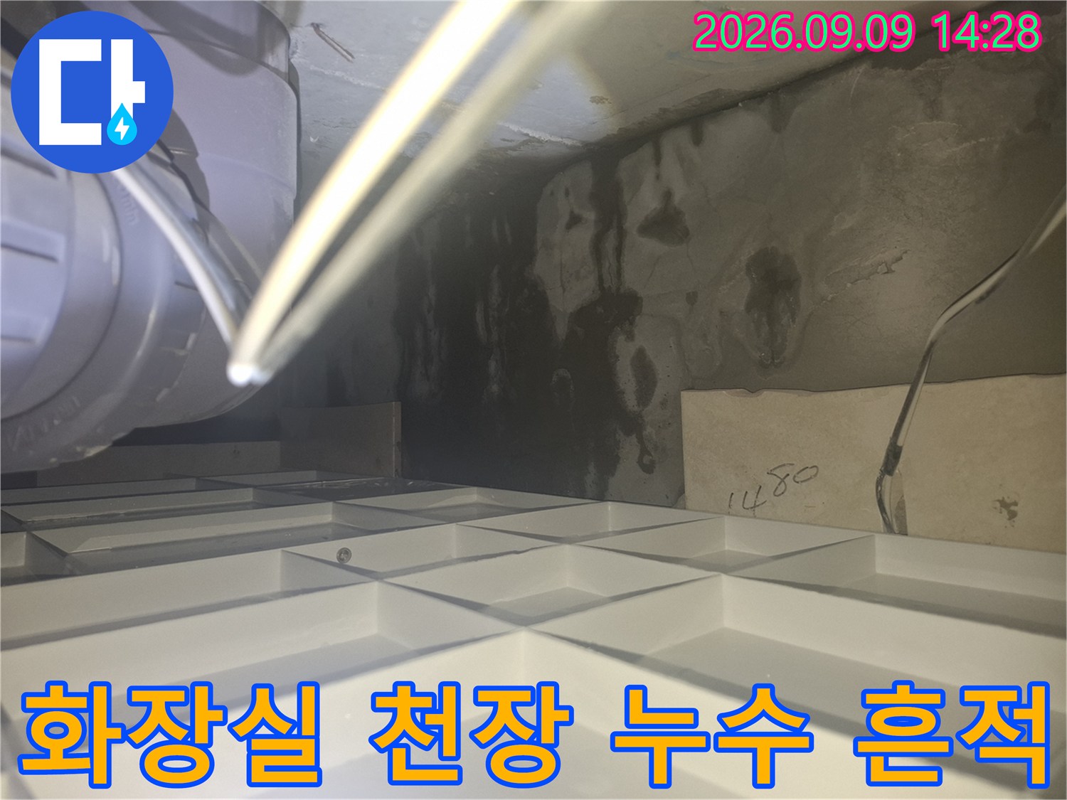 양주 삼숭동 화장실-천장 내부 배관 주변의 젖은 얼룩과 곰팡이 상태를 확인하는 모습입니다.