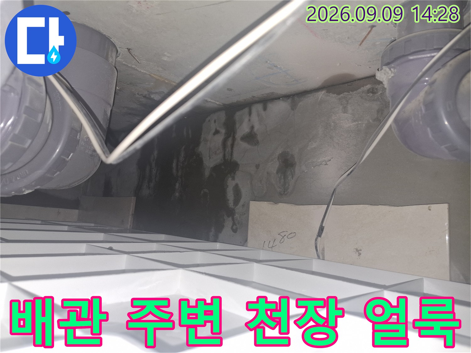 화장실 천장 내부-배관 주변의 심한 물 얼룩과 오염 상태
