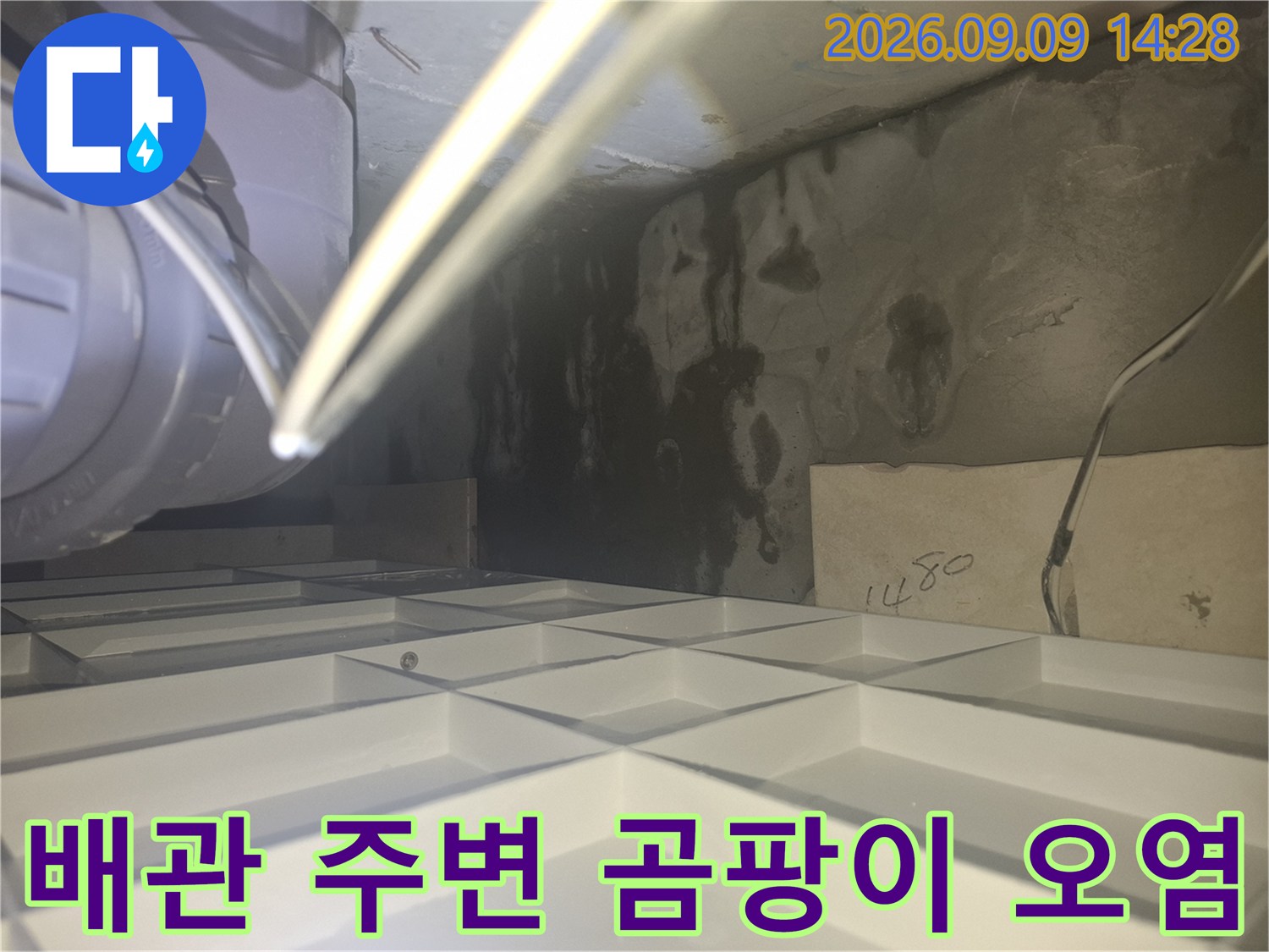 화장실 천장 배관 근처의 검은색 곰팡이와 습기에 의한 얼룩