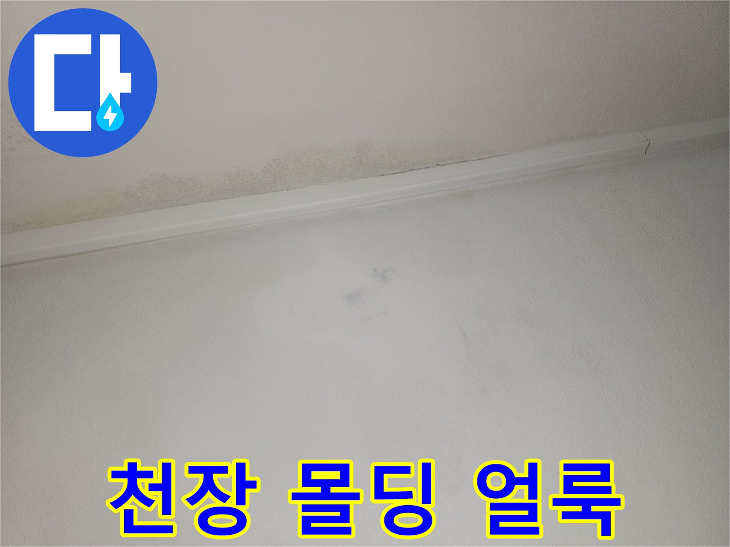 천장과 몰딩 경계면에 발생한 누수 오염 상태
