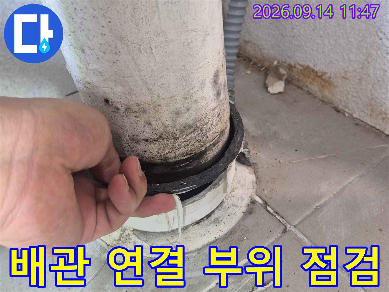 오염된 우수관 배관과 타일 접합부를 면밀히 조사하고 있습니다.