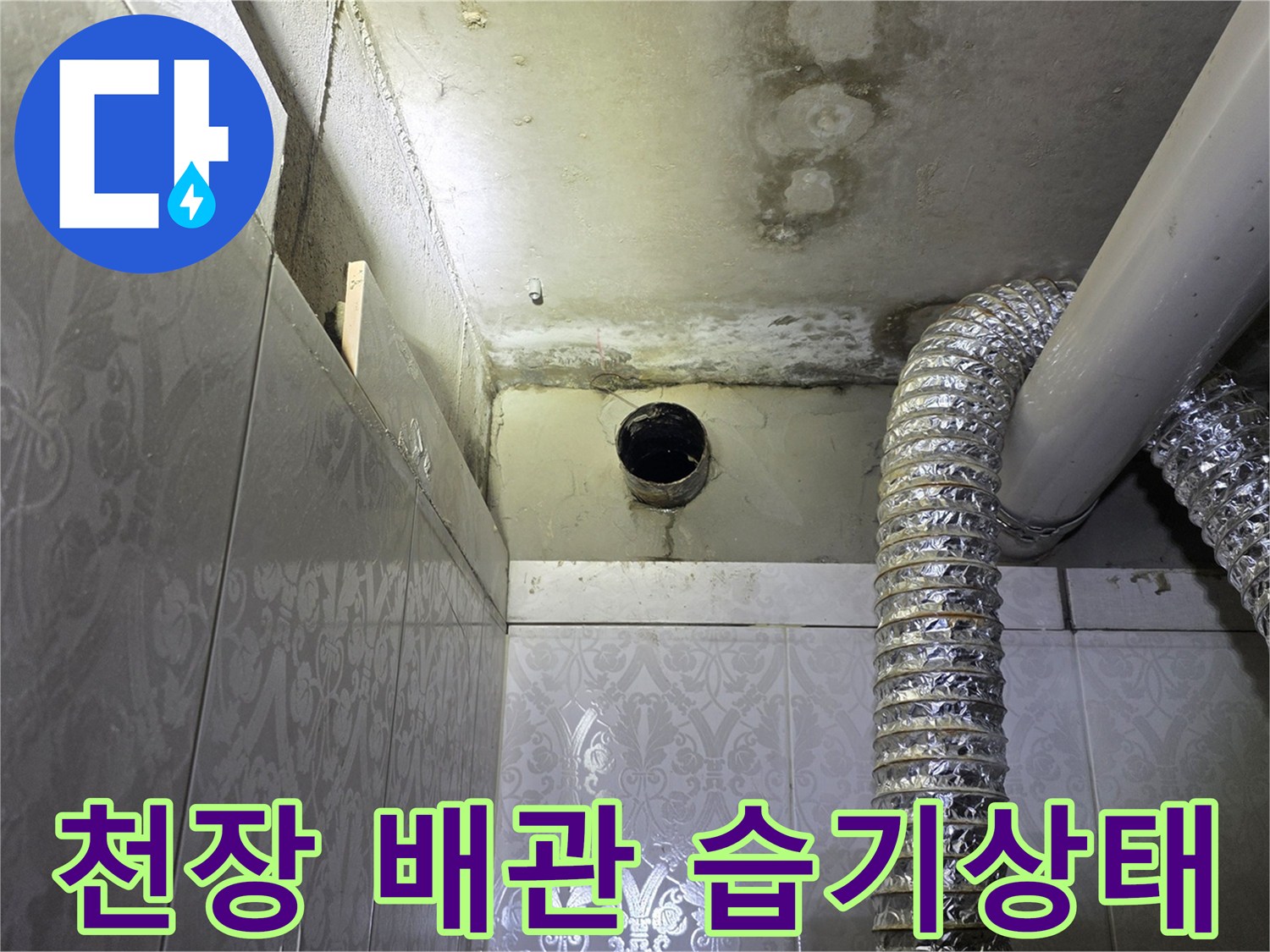 화장실 천장 배관 주변의 젖은 흔적과 곰팡이 상태