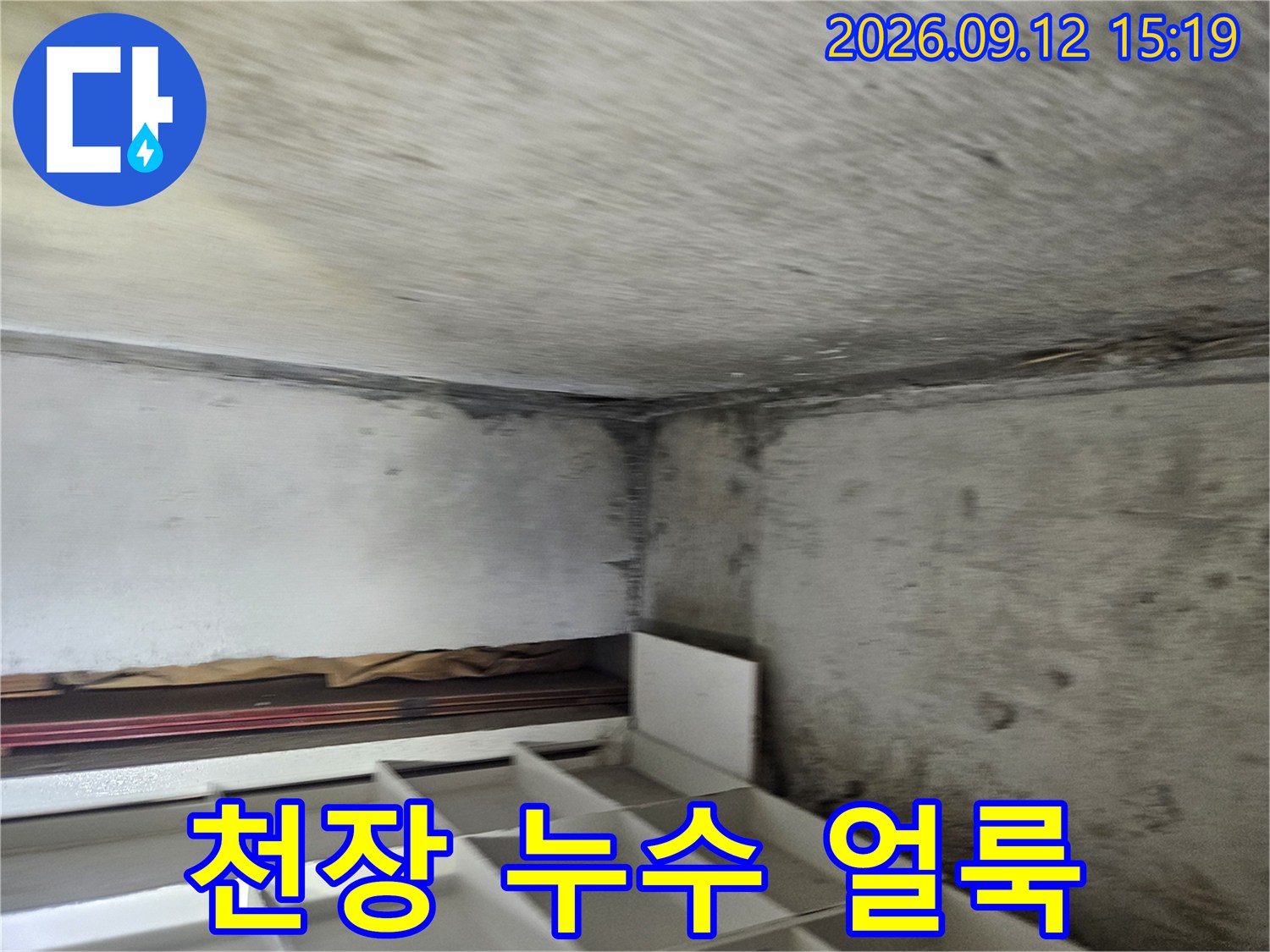 일산동구 장항동-화장실 천장 벽면에 발생한 젖음 현상과 어두운 얼룩 상태