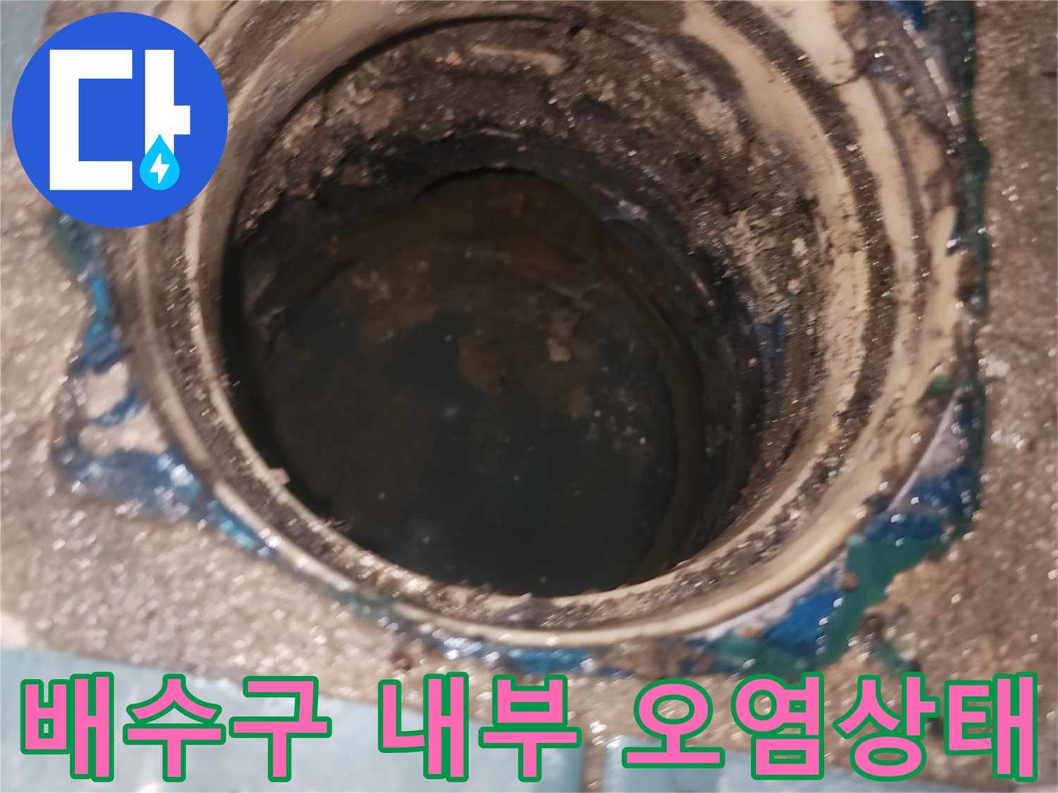 세탁실-배수구-내부의-이물질과-오염된-상태를-보여주는-사진