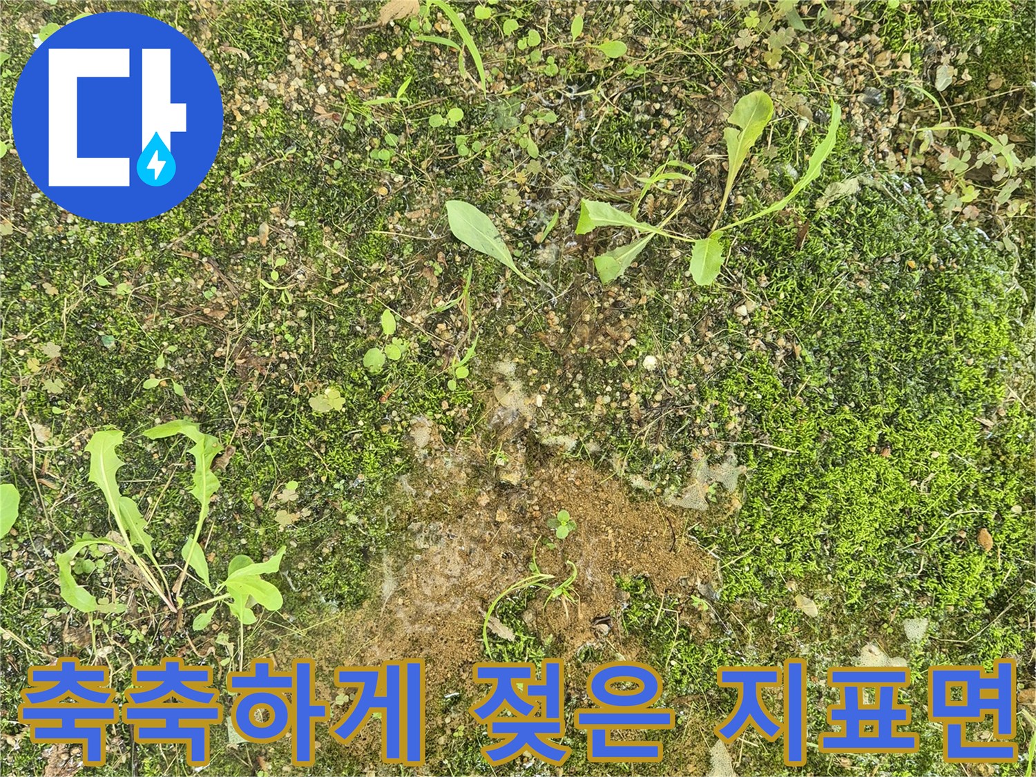 습기가 가득한 아파트 지하 지면 상태 - 배관 누수가 의심되는 현장