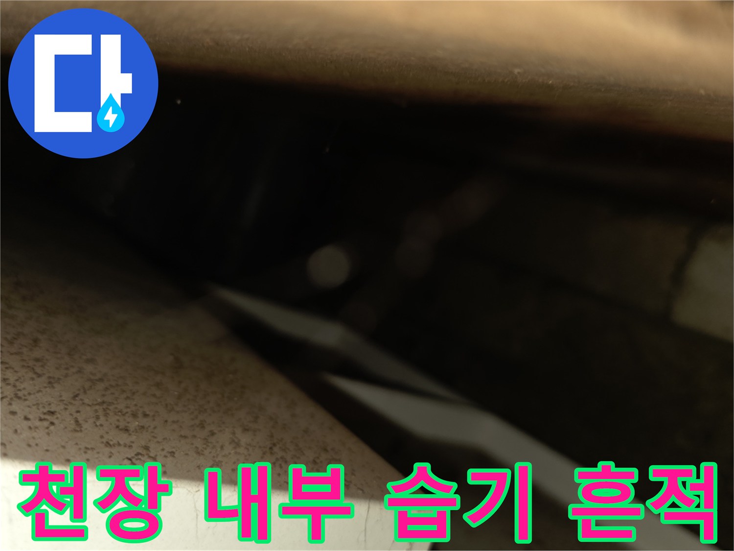 서초구 양재동 현장-천장 텍스 내부의 습한 상태와 물기 흔적을 확인하는 모습