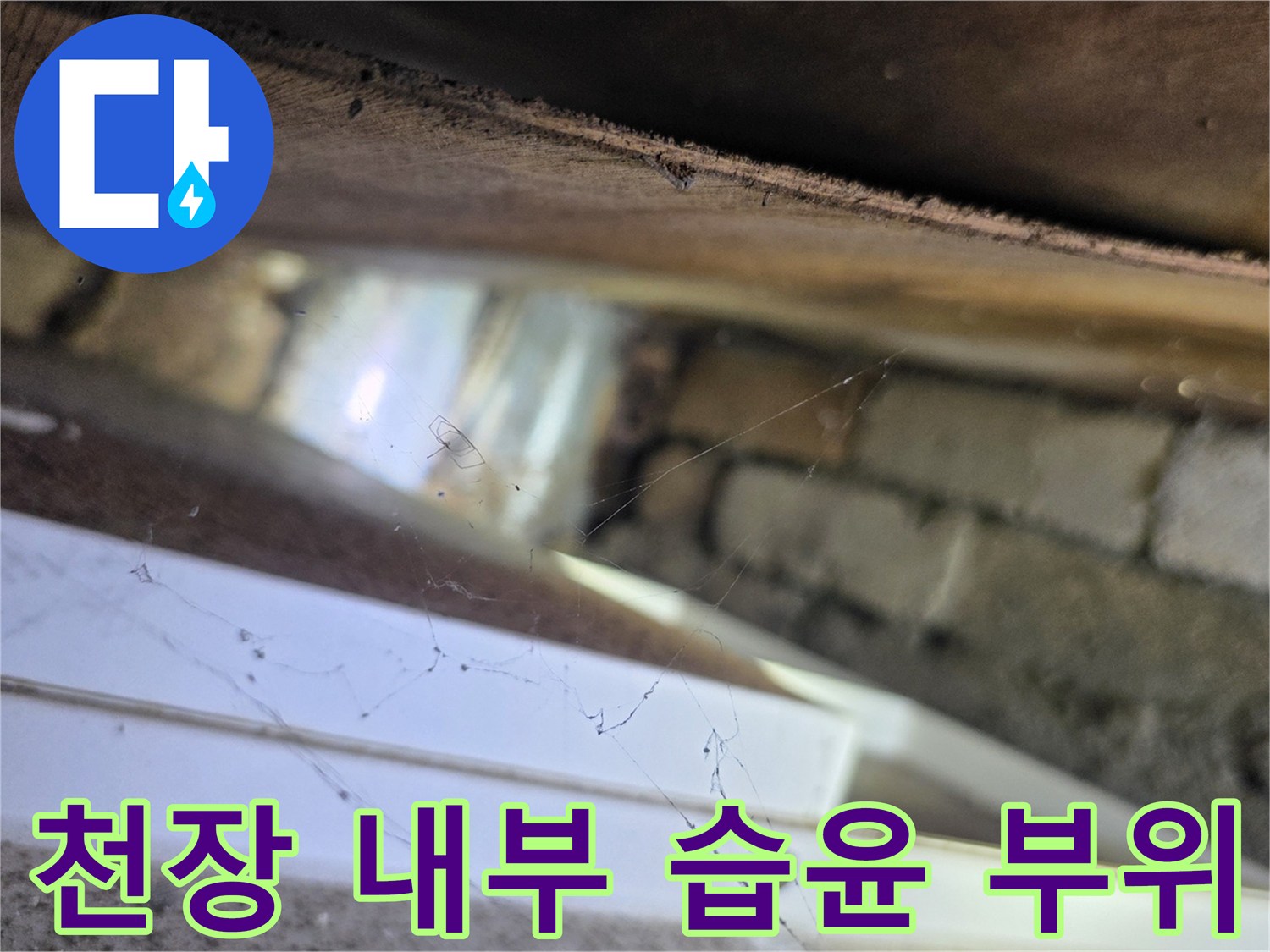 양재 누수 진단-텍스 안쪽 배관 주변의 젖은 상태