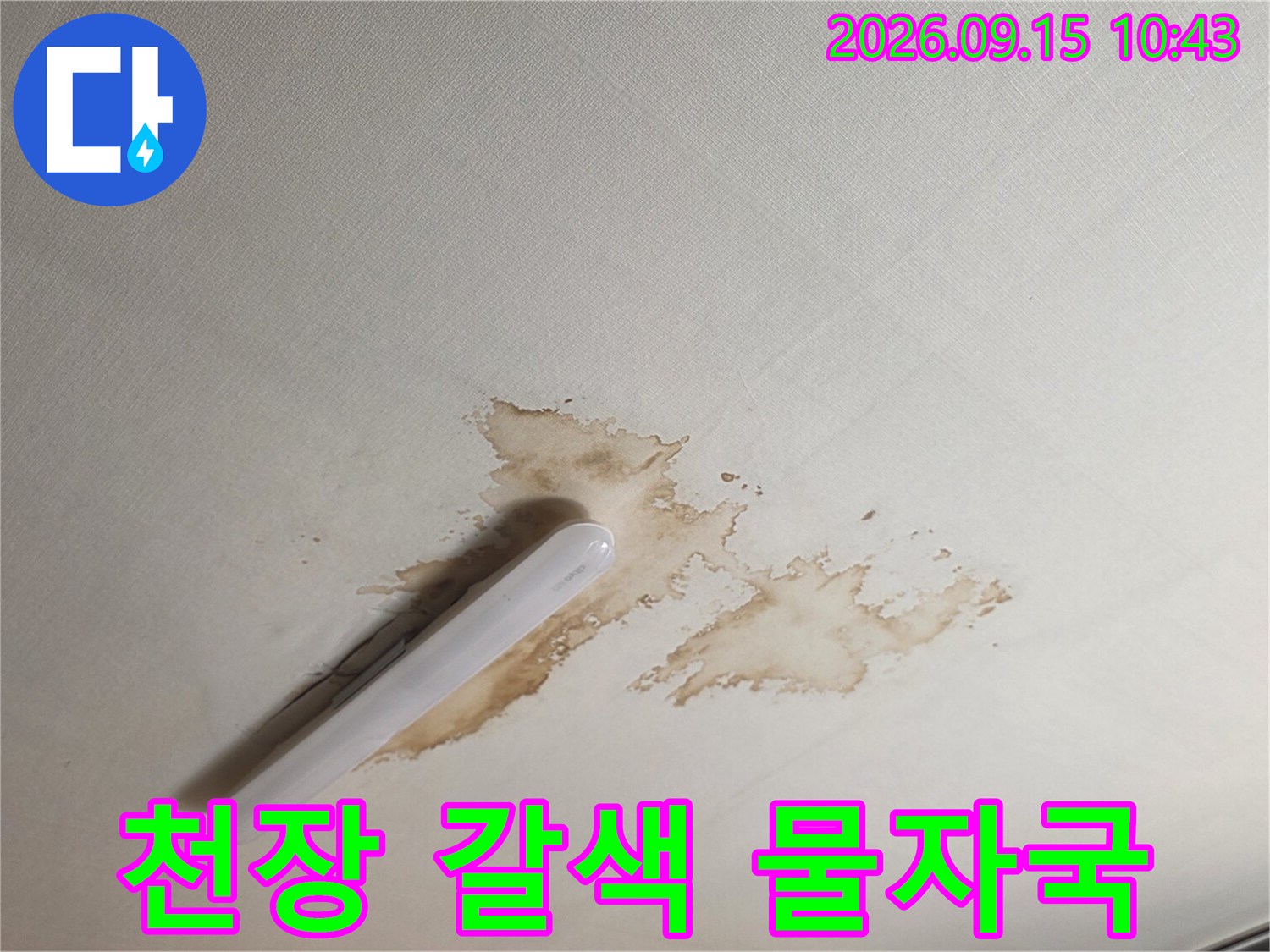 양재동 현장의-천장 벽지에 발생한 갈색 누수 얼룩