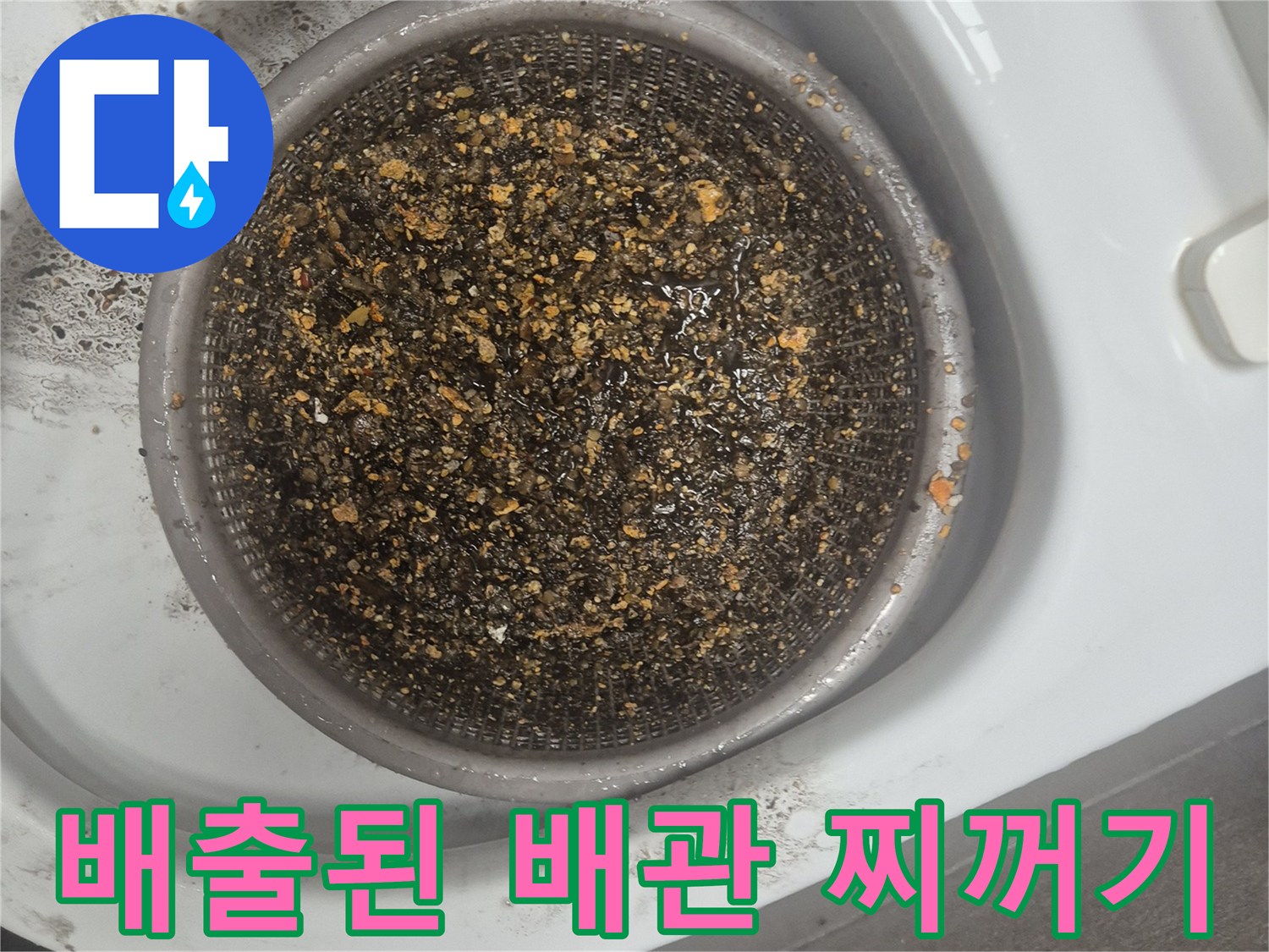 석션 장비를 통해 싱크대 하수관에서 뽑아낸 각종 오염물질