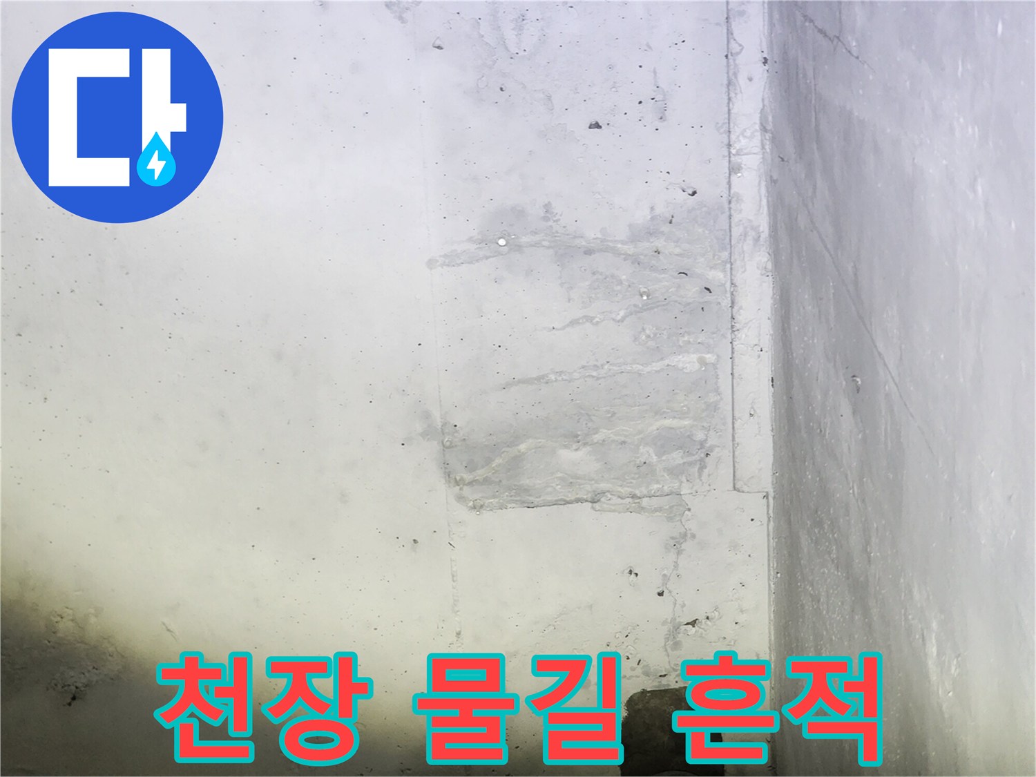 지하 주차장 천장 슬라브에 형성된 누수 물길과 젖은 부위