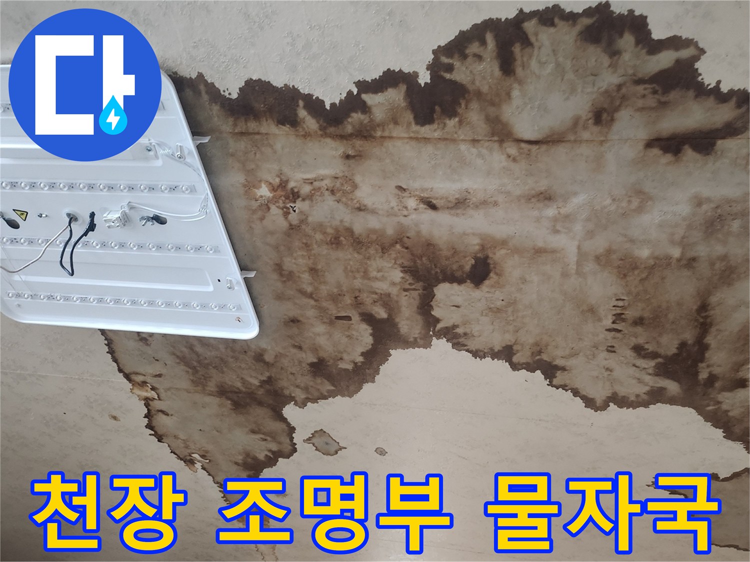 조명-기구-주변으로-퍼져나간-갈색-누수-얼룩